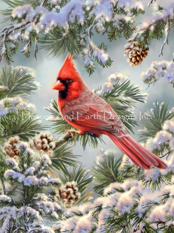Cardinal In Snowy Pine Material Pack - Click Image to Close